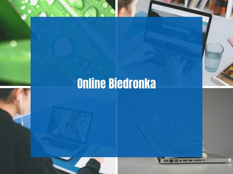 Online Biedronka