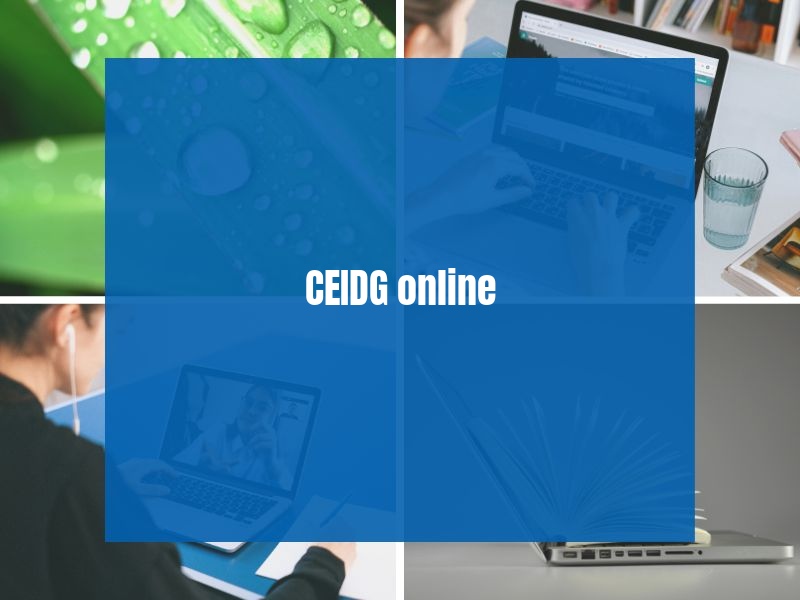 CEIDG online